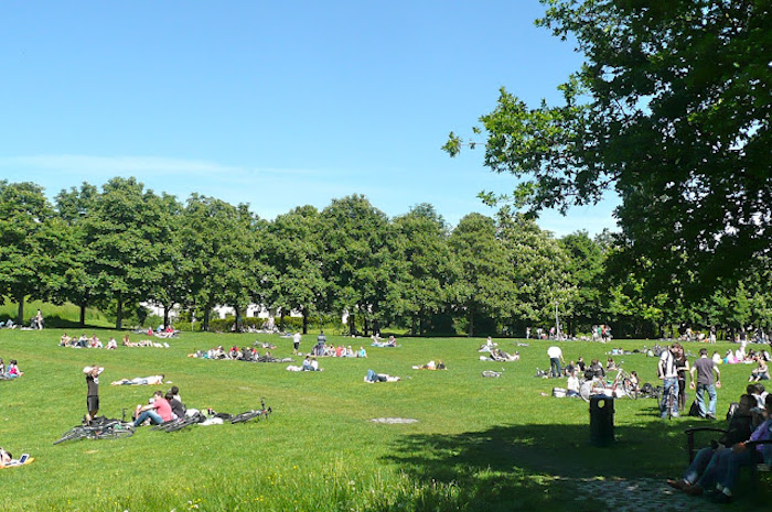 Во Фрунзенском районе появится парк с велодорожками, зоной Wi-Fi и тренажерами