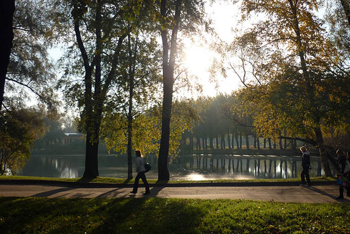 Бесплатный Wi-Fi может появиться в Московском парке Победы к осени