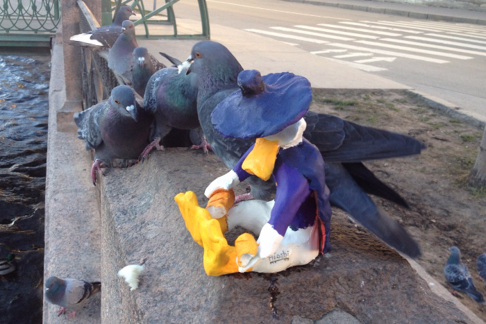 В Петербурге среди уток и голубей посадили неподвижную фигурку Черного Плаща