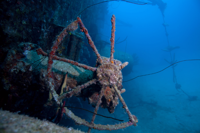 В Доке Петра Великого в Кронштадте откроют подводный музей затонувших кораблей
