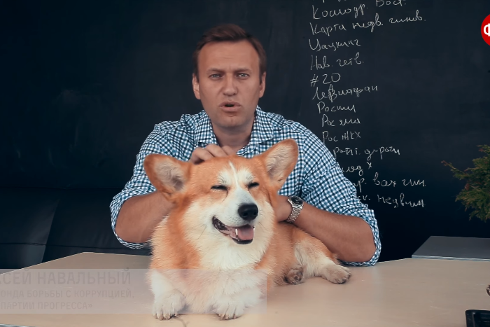 Навальный рассказал о частном самолете Шувалова с помощью корги
