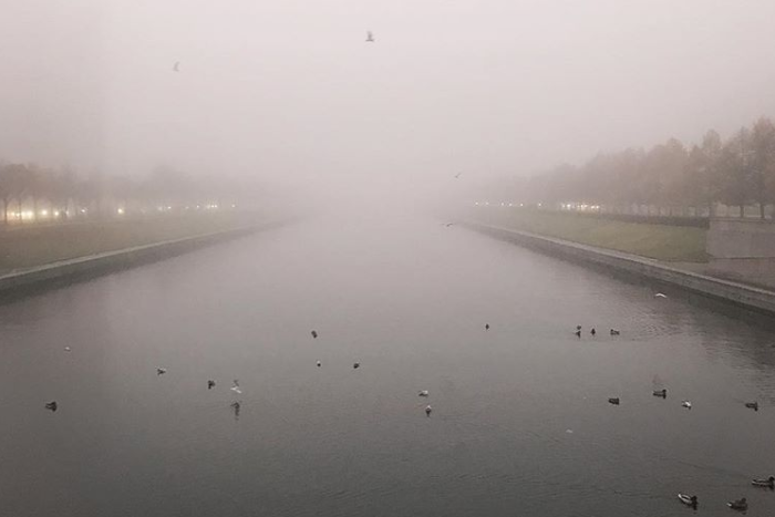 Петербург накрыло густым туманом