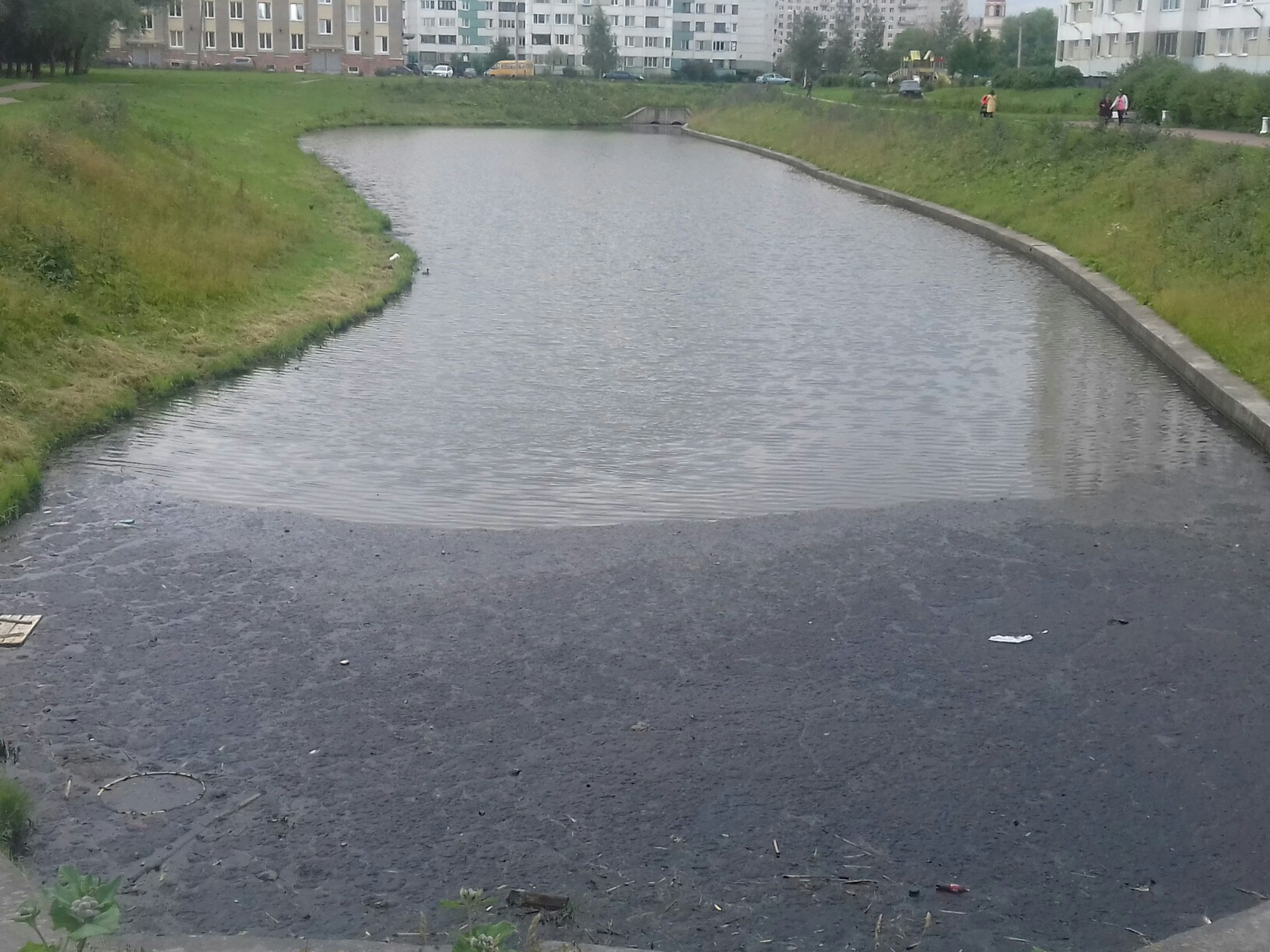 По реке Новой в Кировском районе разлился мазут, сообщают активисты. Ранее она окрасилась в коричневый цвет