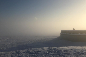 В последний день января Петербург накрыло туманом. Город был похож на снежную постапокалиптическую пустыню