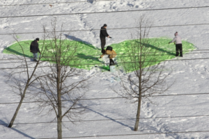 Петербуржцы нарисовали 13-метровое зеленое сердце в защиту Муринского парка от застройки