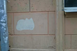 В Петербурге активист начал закрашивать рекламу наркотиков изображениями котов. Так он привлекает внимание коммунальщиков к проблеме