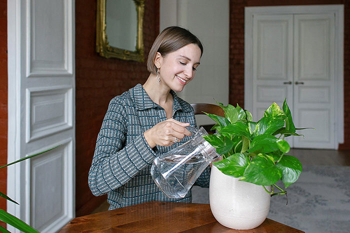 Почему домашние растения — это модно? Создательница проекта Plants For Friends рассказывает, зачем петербуржцы озеленяют дома и офисы и как ухаживать за цветами в горшках