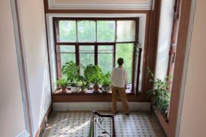 Это блог о доходном доме на Петроградской. Жители рассказывают о его истории и пытаются добиться ремонта