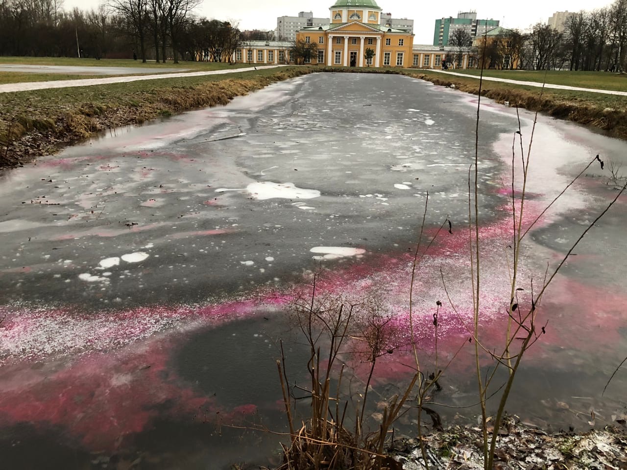 парка александрино