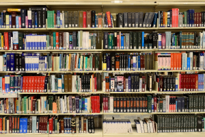 Как бесплатно читать книги на «ЛитРесе» и получить необходимые материалы для диплома? Инструкция библиотеки Маяковского