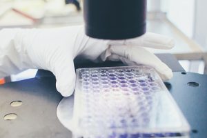 Петербургский «Биокад» участвует в разработке трех вакцин от коронавируса, которые ВОЗ считает перспективными. Как проходят испытания и когда начнутся тесты на людях