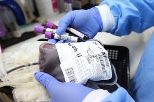 Как стать донором плазмы? Больница Курортного района опубликовала инструкцию для переболевших коронавирусом
