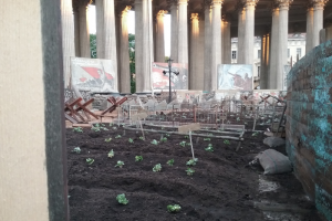 У Казанского собора разбили блокадный огород ради съемок сериала. Вот как это выглядело