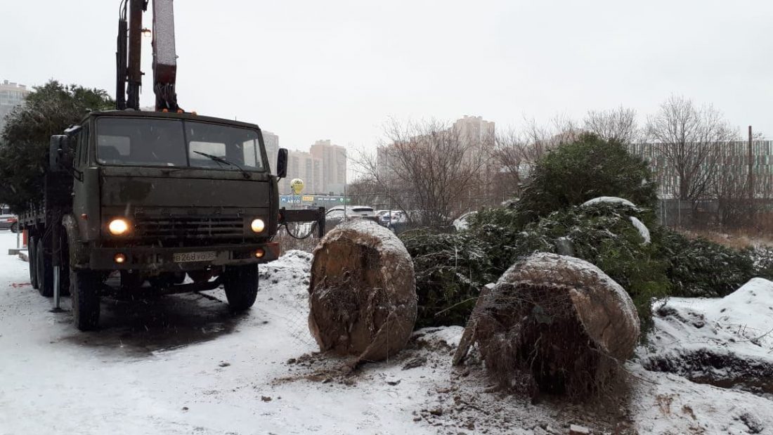 Карнизы в приморском районе