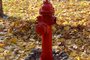 Петербуржец отреставрировал пожарный гидрант на Сибирской улице