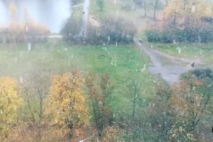 На севере Петербурга выпал снег. Показываем первые снежинки этой осени ❄️