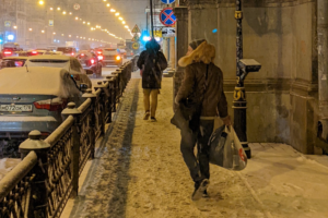 В Петербурге радуются первому настоящему снегопаду — горожане играют в снежки, а кто-то гуляет по сугробам с котом ❄️🐱