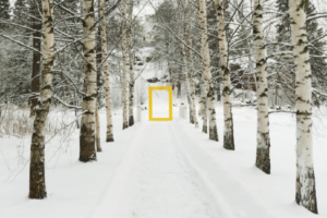 National Geographic установил желтые рамки в 20 уникальных местах России. В их числе — Семимостье и Монрепо