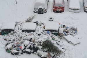В каких районах Петербурга больше всего жалоб на вывоз мусора? Список
