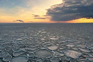 На юге Финского залива заметили блинчатый лед. Что это?