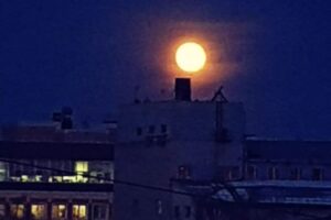 В Петербурге прямо сейчас «волчья луна». Вой не ждите, но полюбуйтесь на полнолуние 🐺