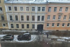 Собака погибла при сбросе наледи с крыши дома в центре Петербурга, сообщил очевидец