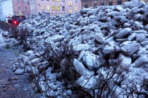 Петербуржцы публикуют фото газонов, заваленных снегом и льдом. Власти говорят, что угрозы для растений нет