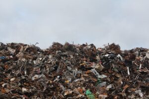 Журналисты нашли свалку петербургского мусора в Ленобласти. Участок под нее арендует «Эко Лэнд»