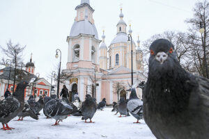 Когда в Петербург придет весна? Главный синоптик города — о причинах снегопада и погоде в апреле