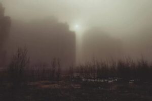 «Куда делся „Лахта Центр“». Петербуржцы показали, как город окутал туман