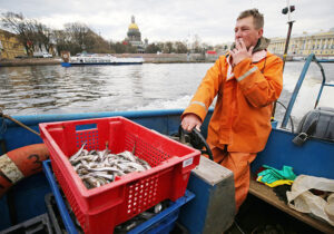 Как корюшка из «сорной» рыбы стала брендом Петербурга по 1500 рублей за кг. Рассказывает социолог «Бумаги»