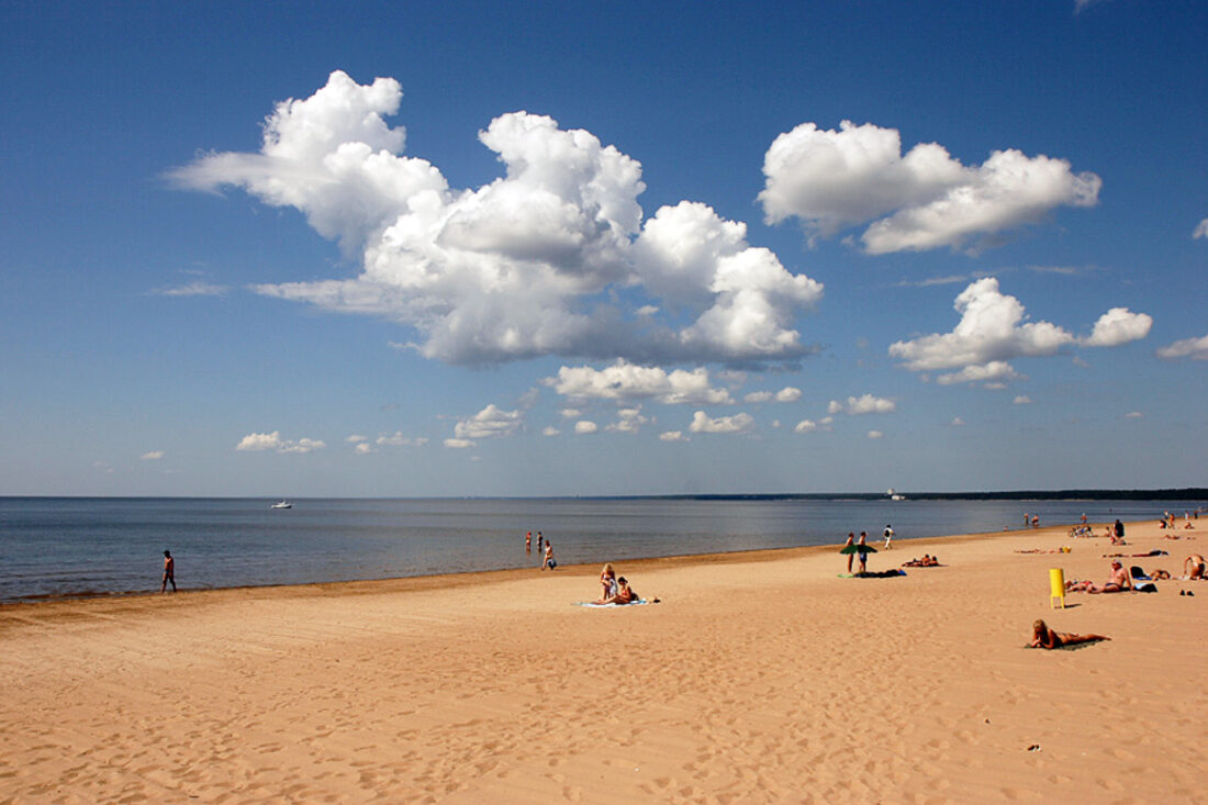 Пляж дюны в Сестрорецке
