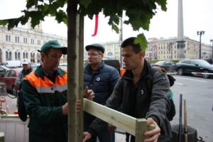 Смольный не разрешил градозащитникам посадить липы в центре Петербурга. Почему это произошло и как активисты хотят добиться своего?