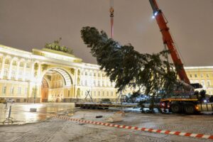 На Дворцовой начали устанавливать новогоднюю елку. 5 фото
