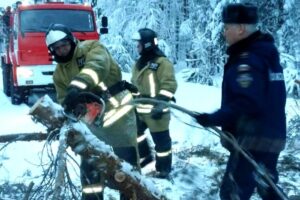 Упавшие деревья, 10-балльные пробки и застрявшие автобусы. Как Петербург пережил рекордный снегопад и метель