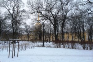 Заморозки вместо оттепели. Когда в Петербурге похолодает до –10 и пойдет сильный снегопад?