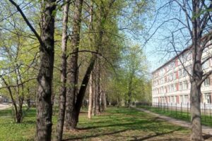 СК нашел нарушения в проекте офиса ФНС на месте сквера на проспекте Науки, пишет MR7.ru