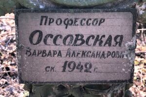 «Неучтенные смерти могут исчисляться тысячами». Россиянка нашла десятки блокадных могил, не внесенных в базы, — и предлагает присоединиться к поискам