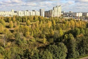 Жители Невского района защищают от сноса Яблоновский сад — он вырос на полигоне отходов и власти считают его опасным. Кто прав