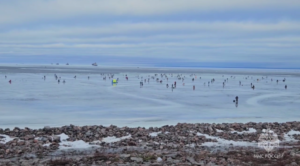 Сотрудники МЧС сняли 35 рыбаков с льдины в Финском заливе