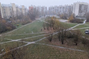 На севере Петербурга выпал снег. Завтра в городе тоже ожидаются осадки